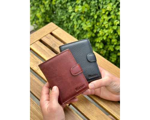 Чоловічий шкіряний гаманець люкс, чоловіче портмоне натуральна шкіра HORTON 301B