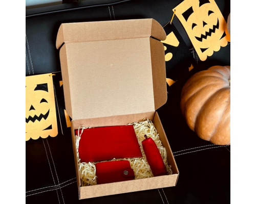 Жіночий набір з гаманця, обкладинки на паспорт та ключниці в червоному кольорі