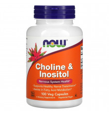 Холін і інозитол, Choline Inositol, Now Foods, 500 мг, 100 вегетаріанських капсул