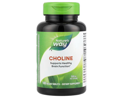 Холін, Choline, Nature's Way, 500 мг, 100 веганських таблеток