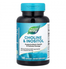 Холін і Інозитол, Choline \ Inositol, Nature's Way, 100 капсул