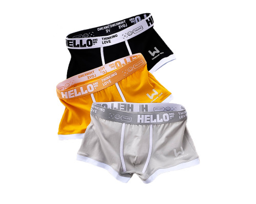 Набор мужских трусов боксеров PB-3199 Black/Turmeric/Light gray из 3 шт 2XL