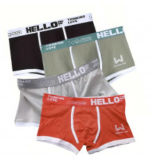 Набор мужских трусов боксеров PB-3199 Light gray/Green/Coral/Black из 4 шт  3XL