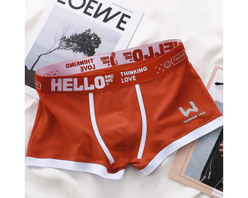 Набор мужских трусов боксеров PB-3199 Light gray/Green/Coral/Black из 4 шт 3XL