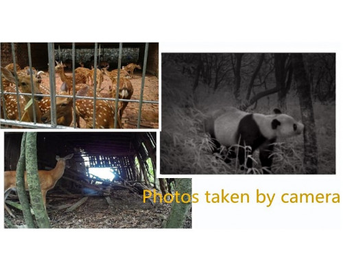 Фотопастка Suntek HC 550A 25м, огляд 120 °, датчик руху, нічна зйомка, захист IP54.