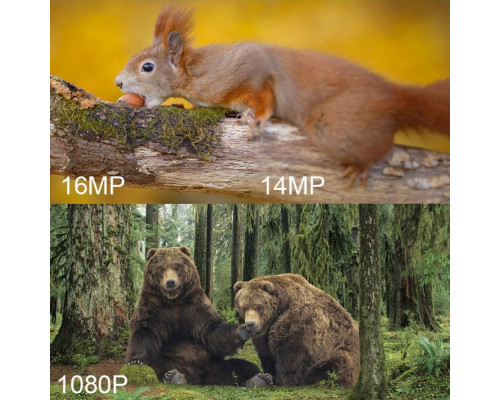 Фотопастка Suntek НС-808A 20м, огляд 120 °, з датчиком руху, нічна зйомка, захист IP65. Камера для охорони