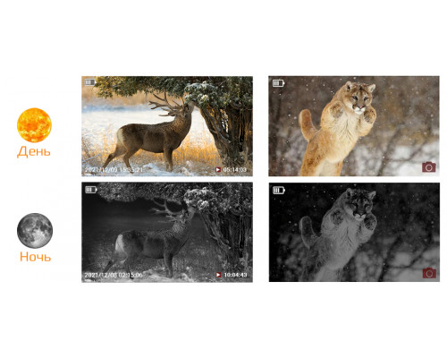 Фотопастка Suntek HC 900M, GSM модуль G2/G3/G4, нічна зйомка, датчик руху.