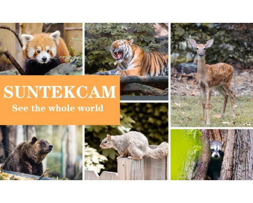 Фотопастка HC940 LTE PRO з передачею даних, APP/4G відео 4К, фото 30МР