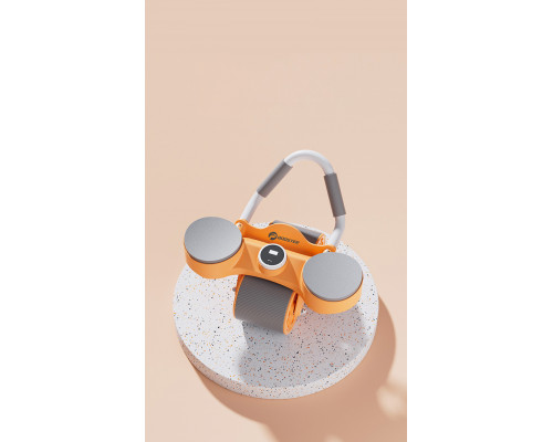 Прес-ролик Booster професійний тренажер для зміцнення м’язів преса та спини.