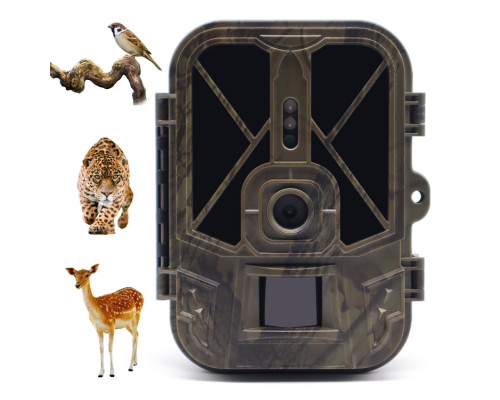 Фотопастка Suntek HC 940A — зйомка в 4K (50Mp), фото та відео.