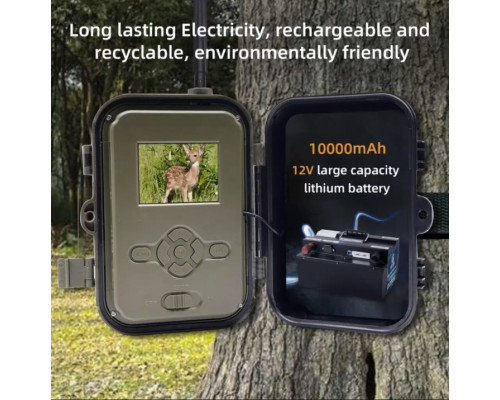 Фотопастка Suntek HC 940A — зйомка в 4K (50Mp), фото та відео.