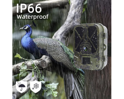 Фотопастка Suntek HC 940A — зйомка в 4K (50Mp), фото та відео.