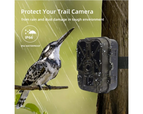 Фотопастка Suntek HC 940A — зйомка в 4K (50Mp), фото та відео.