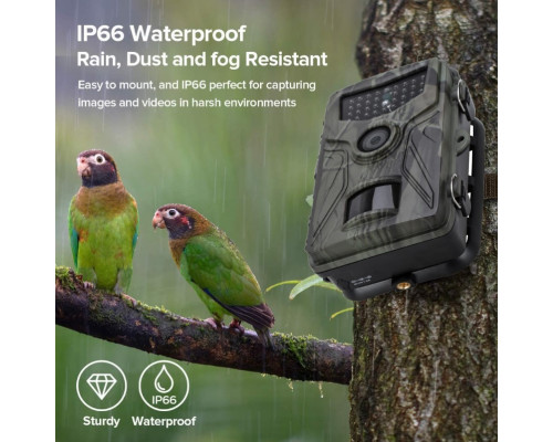 Фотопастка Suntek HC 804A з датчиком руху, нічним зйомом і захистом IP65, огляд 120°, дальність 25 м.