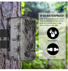 Фотопастка Suntek HC-810A з датчиком руху та нічним зніманням, огляд 120°, дальність 20 м, захист IP65. Камера для охорони території.