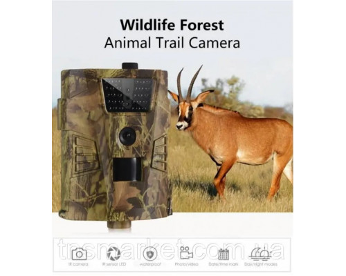 Фотопастка HT001B з датчиком руху та нічною зйомкою, Full HD 1080P, захист IP54