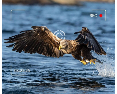 Фотоловушка Suntek HC 950A 50MP 4K з двома лінзами – потужна камера з високою роздільною здатністю для ефективного спостереження.