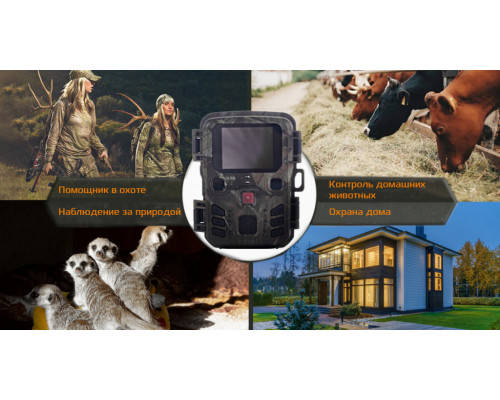 Фотопастка Mini 301: компактність, якісна зйомка, інфрачервоне підсвічування