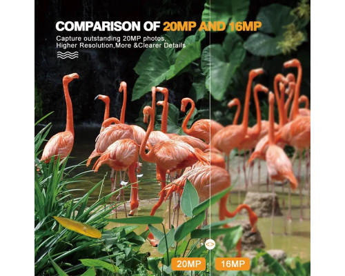 Фотопастка Suntek Mini 600: датчик руху, нічна зйомка, захист IP65