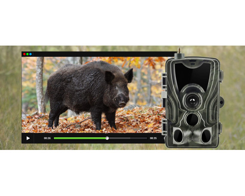 Фотопастка Suntek HC-801LTE-LI з підтримкою LTE для віддаленого моніторингу