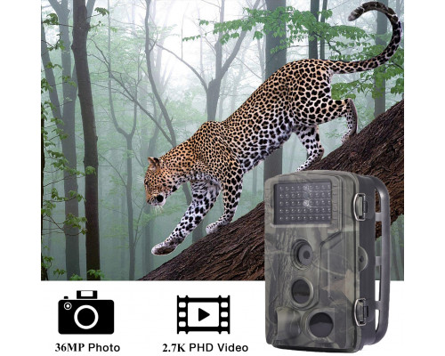 Фотопастка Suntek WiFi802 Plus з дальністю до 20 м, кут огляду 90°, захист IP65.